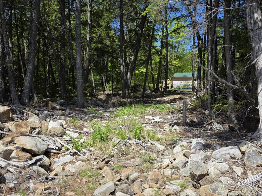 Beautiful south-facing lakefront parcel on 3,300-acre - photo 14