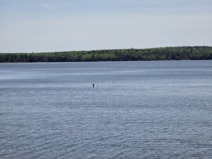 Beautiful south-facing lakefront parcel on 3,300-acre - photo 19