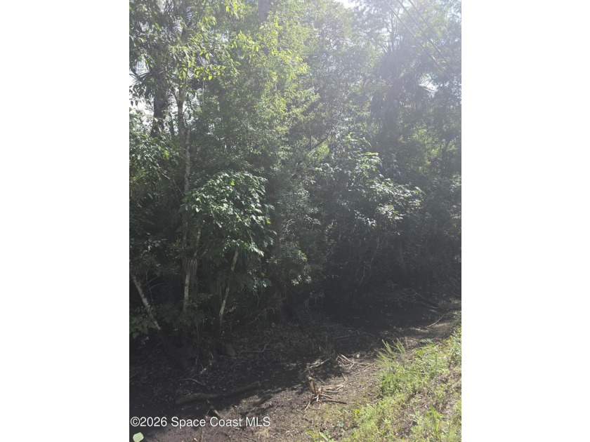 1.22-acre wooded lot located on a quiet dirt road, offering a - photo 3
