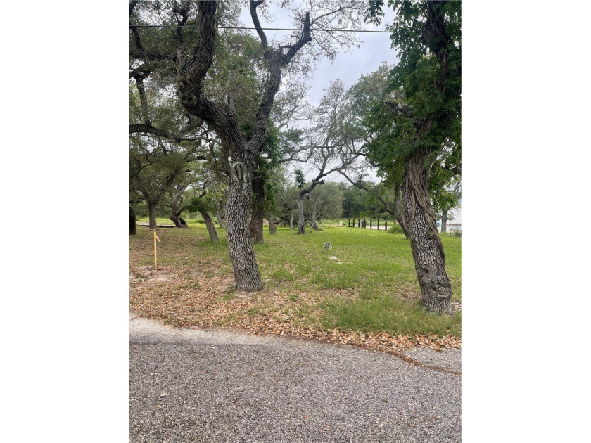 Spacious residential lot shaded by mature live oaks, located - photo 2