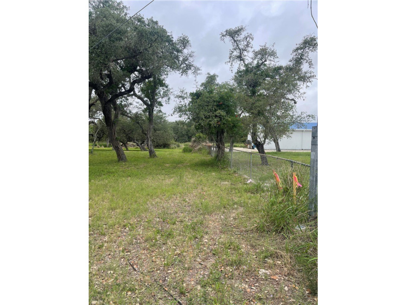 Spacious residential lot shaded by mature live oaks, located - photo 3
