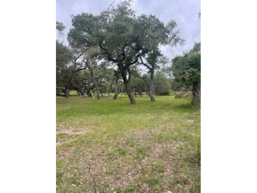 Spacious residential lot shaded by mature live oaks, located - photo 4