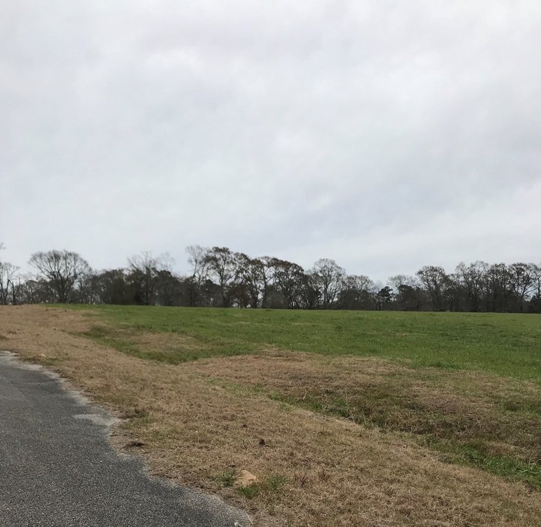 Build your dream home on a dreamy lot in Phase II of the - photo 2