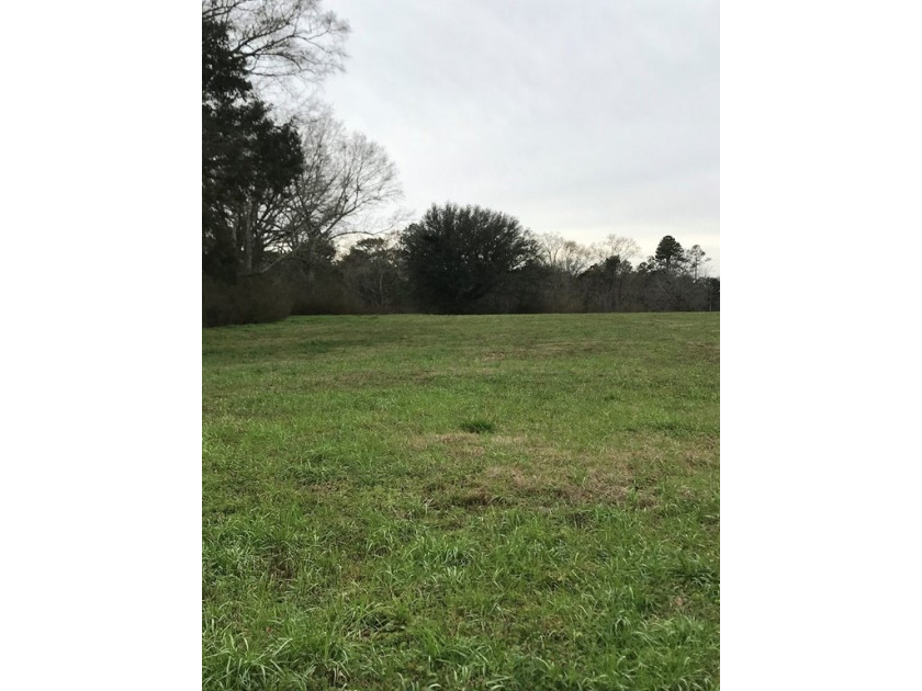 Build your dream home on a dreamy lot in Phase II of the - photo 3