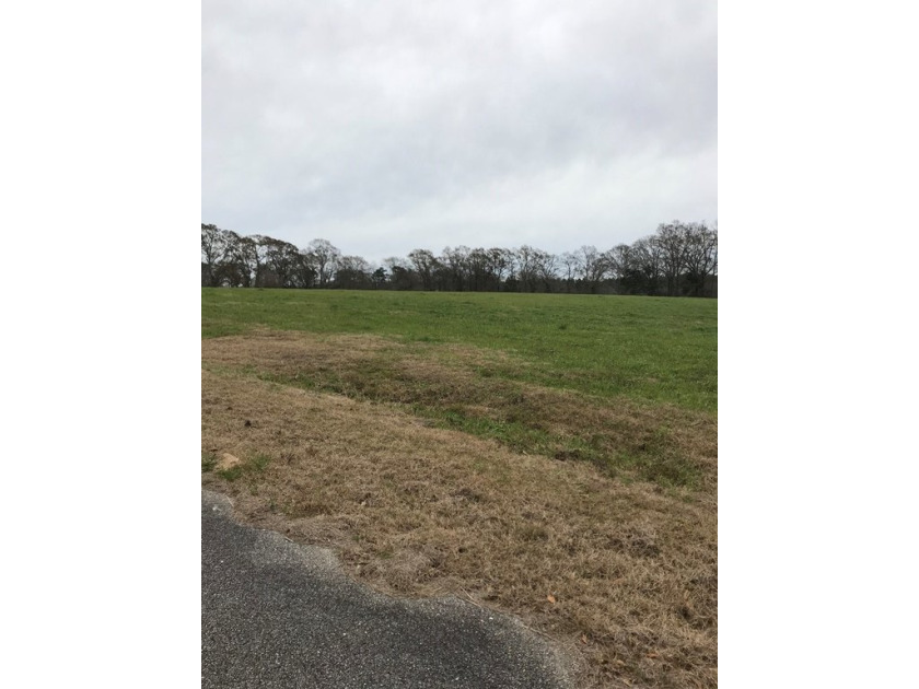 Build your dream home on a dreamy lot in Phase II of the - photo 4
