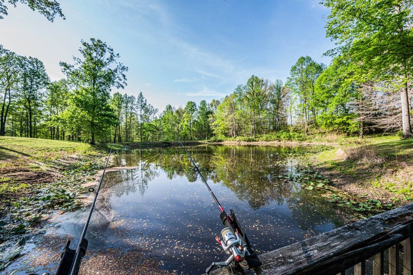 Stunning 3 bedroom, 2.5 bath, 2,200 +/- square foot log home - photo 27
