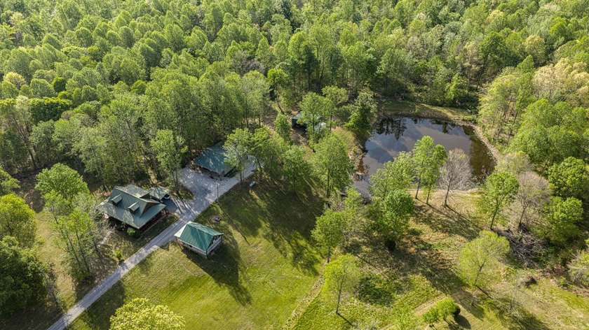 Stunning 3 bedroom, 2.5 bath, 2,200 +/- square foot log home - photo 30