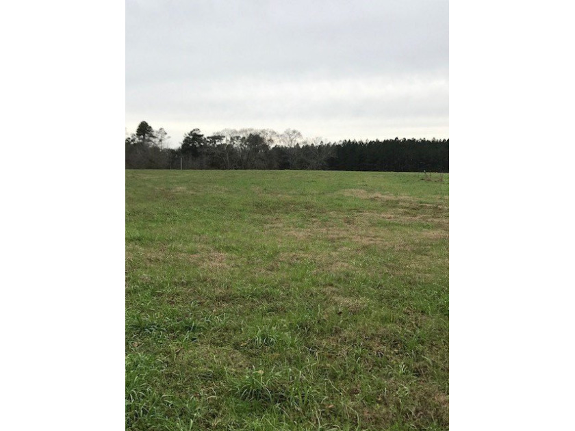Build your dream home on a dreamy lot in Phase II of the - photo 3
