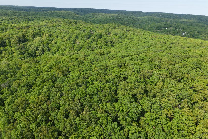 29687 Proctor Rd - photo 5