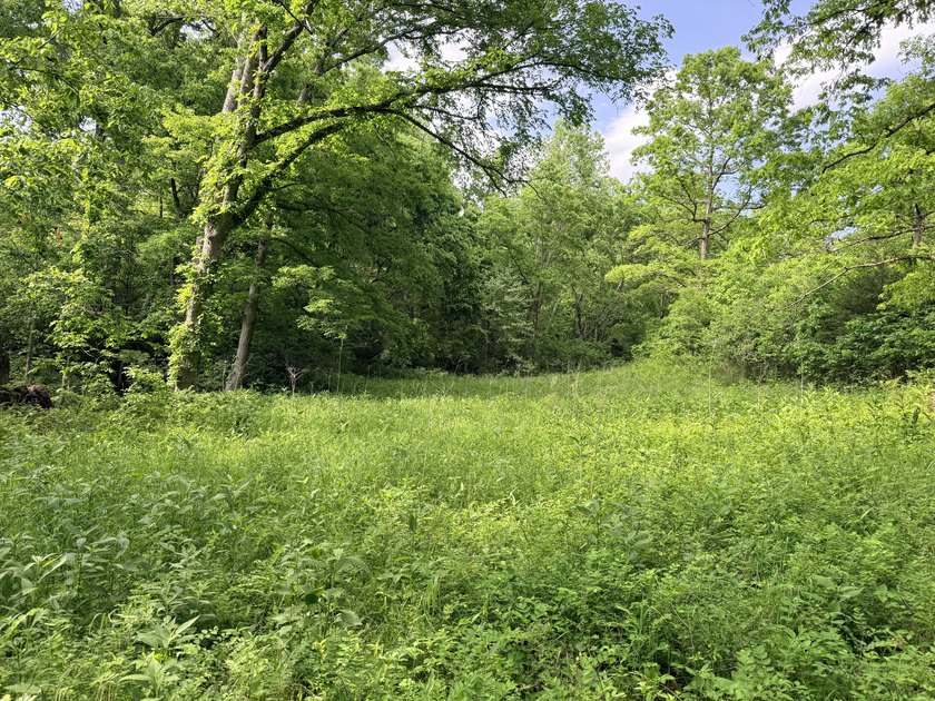29687 Proctor Rd - photo 8