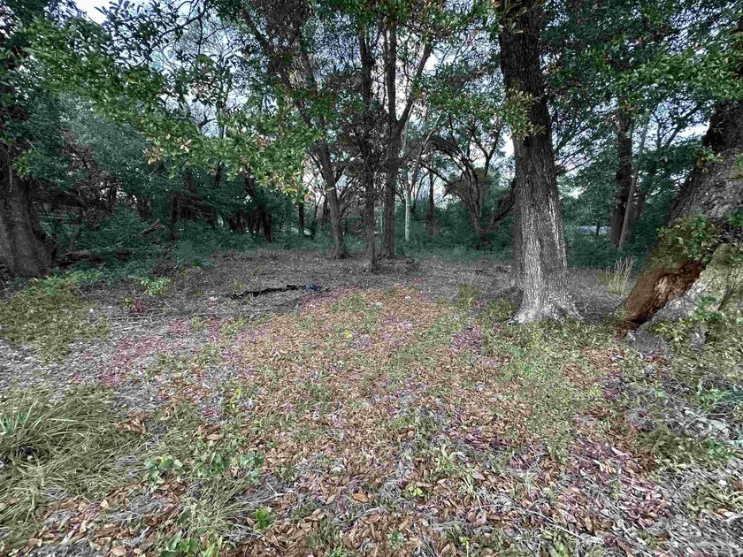 This 0.54-acre offering includes two parcels: one fronting Kelly - photo 2
