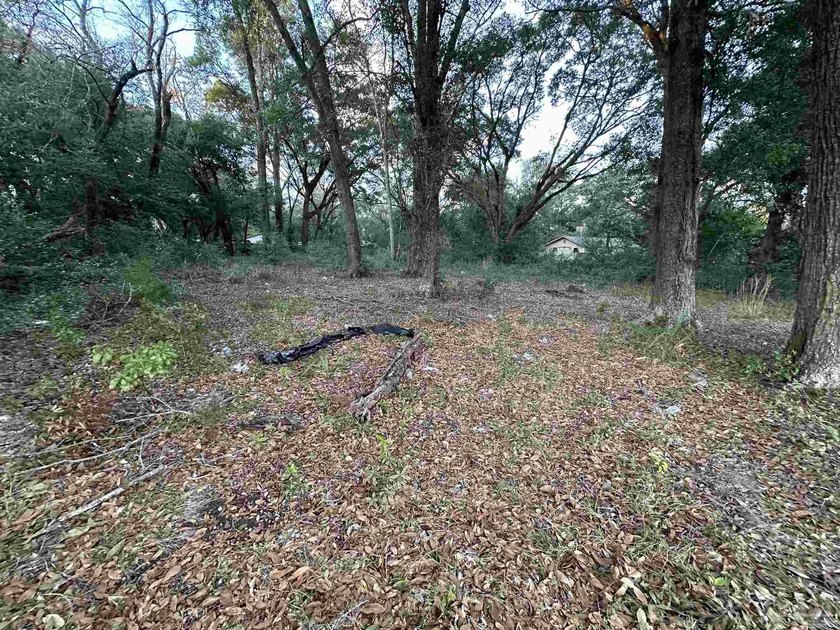 This 0.54-acre offering includes two parcels: one fronting Kelly - photo 3