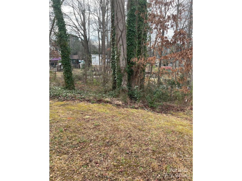 New offering of gated access waterfront cove lot on Lake Norman - photo 11