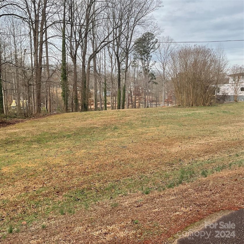 New offering of gated access waterfront cove lot on Lake Norman - photo 13