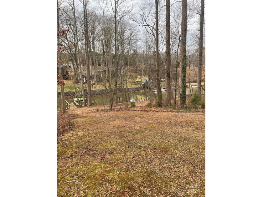 New offering of gated access waterfront cove lot on Lake Norman - photo 14