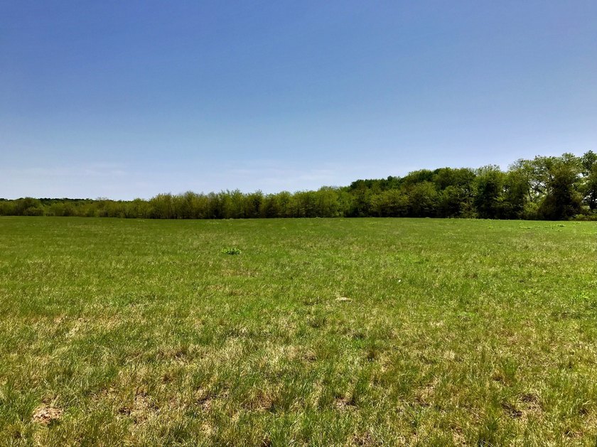 127+/- Acres of Prime Pastureland with Creek Frontage &amp; Abundant - photo 2