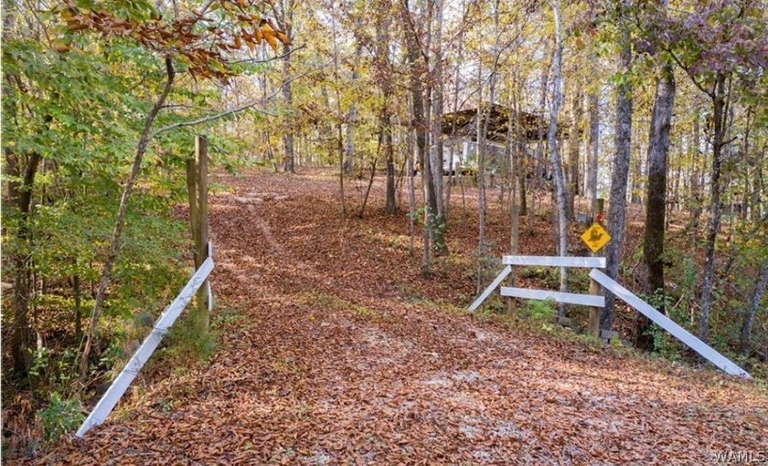 11919 Weeping Willow Rd - photo 8