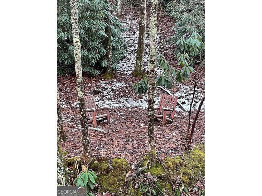 Located in the quiet little City of Sky Valley, this affordable - photo 3