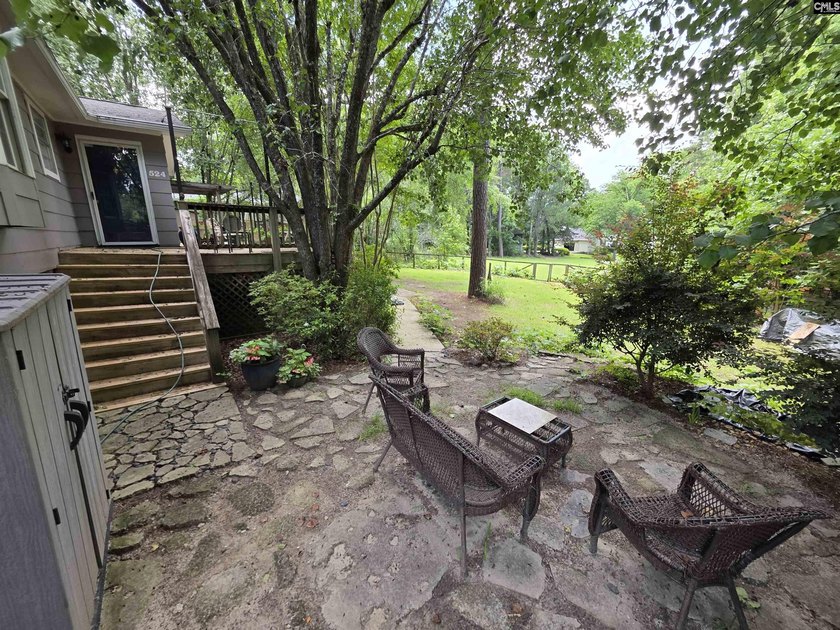 NO OPEN HOUSE ON 7/11 - Excellent Chapin lakefront home is a - photo 13