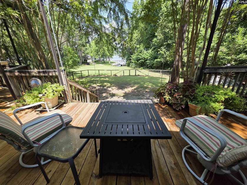 NO OPEN HOUSE ON 7/11 - Excellent Chapin lakefront home is a - photo 18
