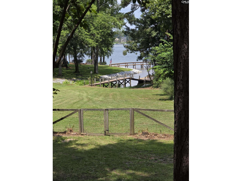 NO OPEN HOUSE ON 7/11 - Excellent Chapin lakefront home is a - photo 19