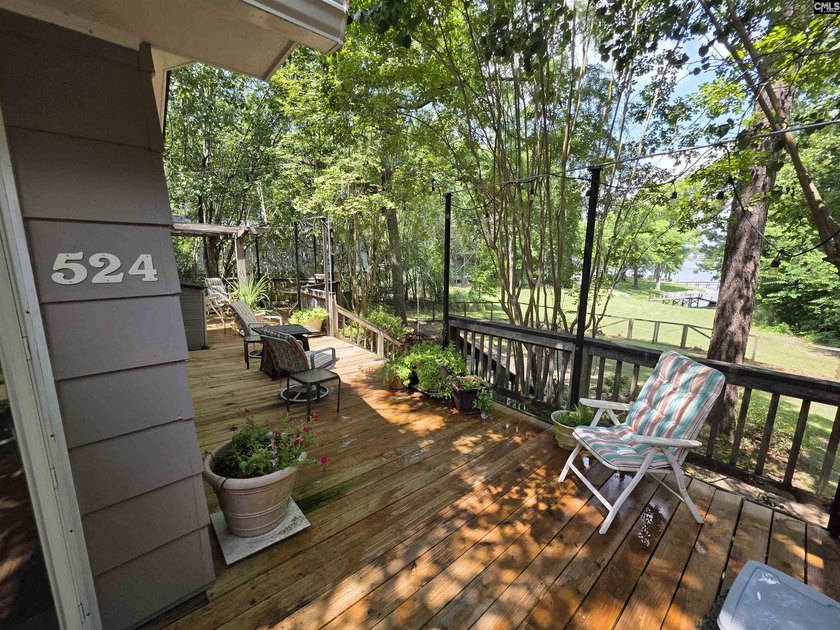 NO OPEN HOUSE ON 7/11 - Excellent Chapin lakefront home is a - photo 22