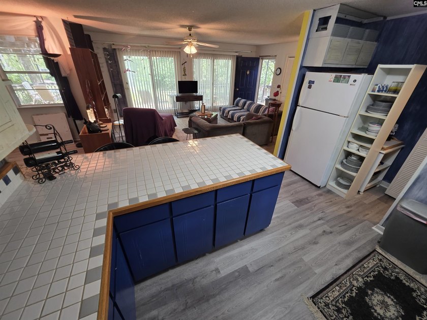 NO OPEN HOUSE ON 7/11 - Excellent Chapin lakefront home is a - photo 25