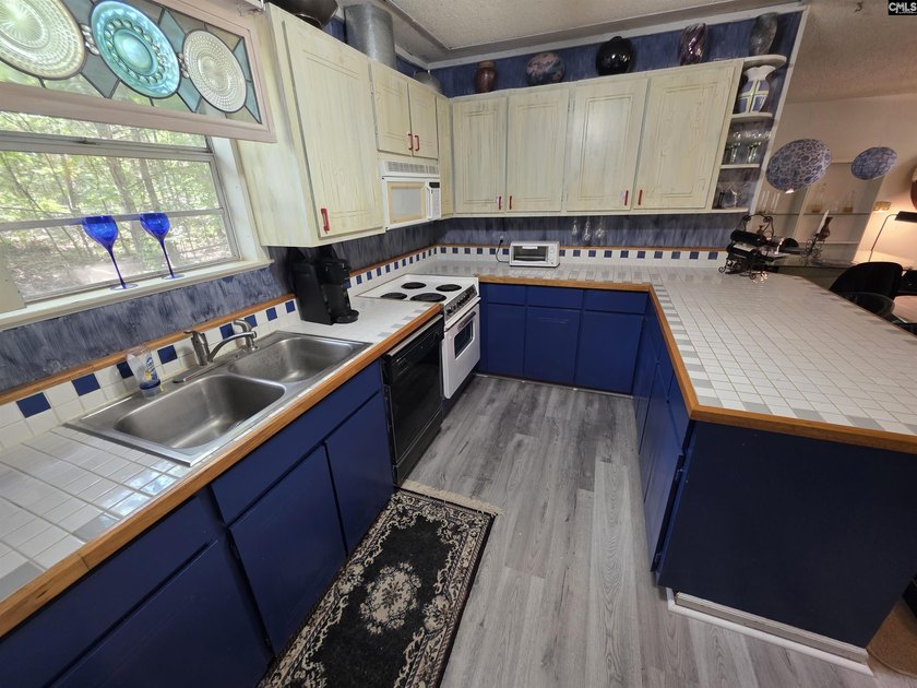 NO OPEN HOUSE ON 7/11 - Excellent Chapin lakefront home is a - photo 28