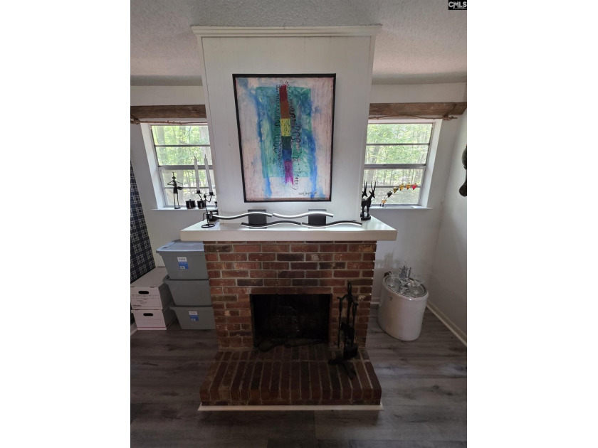 NO OPEN HOUSE ON 7/11 - Excellent Chapin lakefront home is a - photo 30