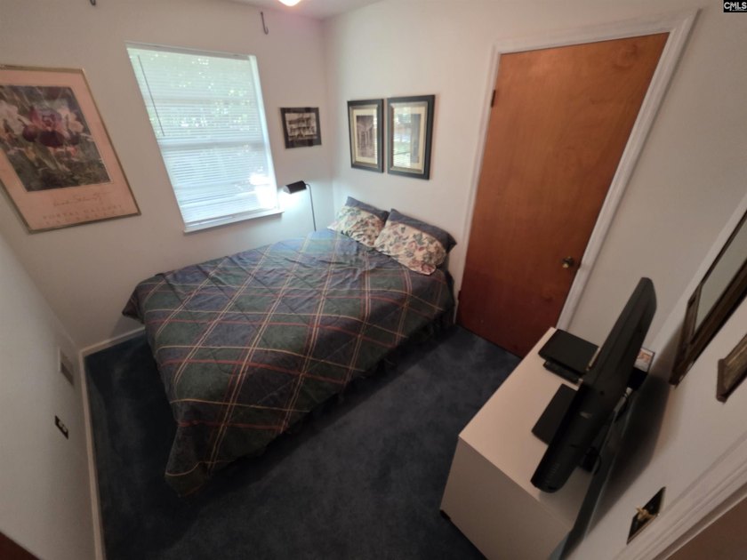 NO OPEN HOUSE ON 7/11 - Excellent Chapin lakefront home is a - photo 32