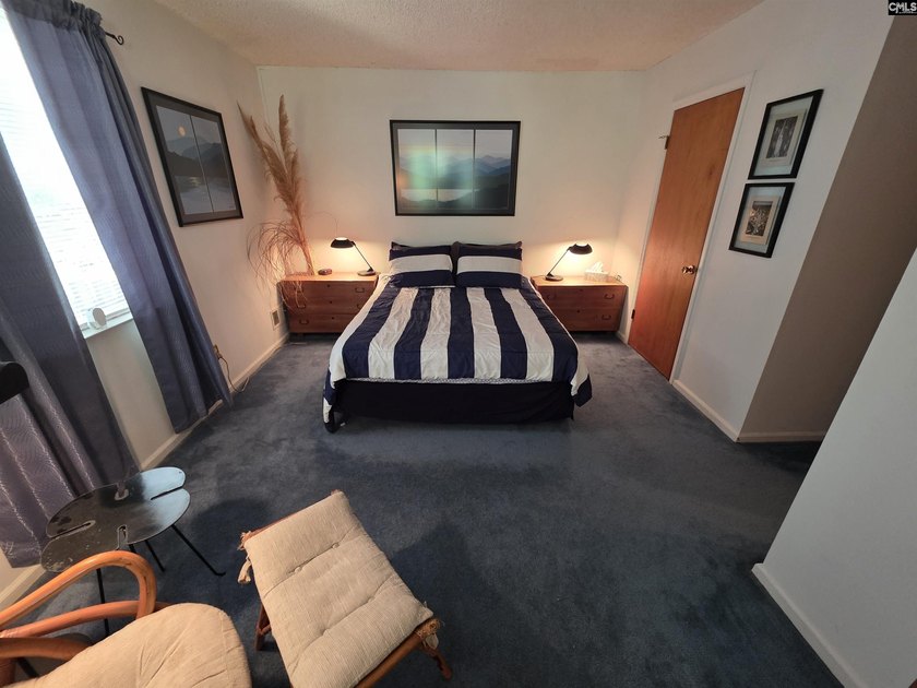 NO OPEN HOUSE ON 7/11 - Excellent Chapin lakefront home is a - photo 33