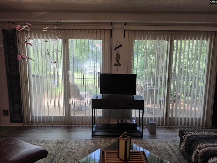 NO OPEN HOUSE ON 7/11 - Excellent Chapin lakefront home is a - photo 39