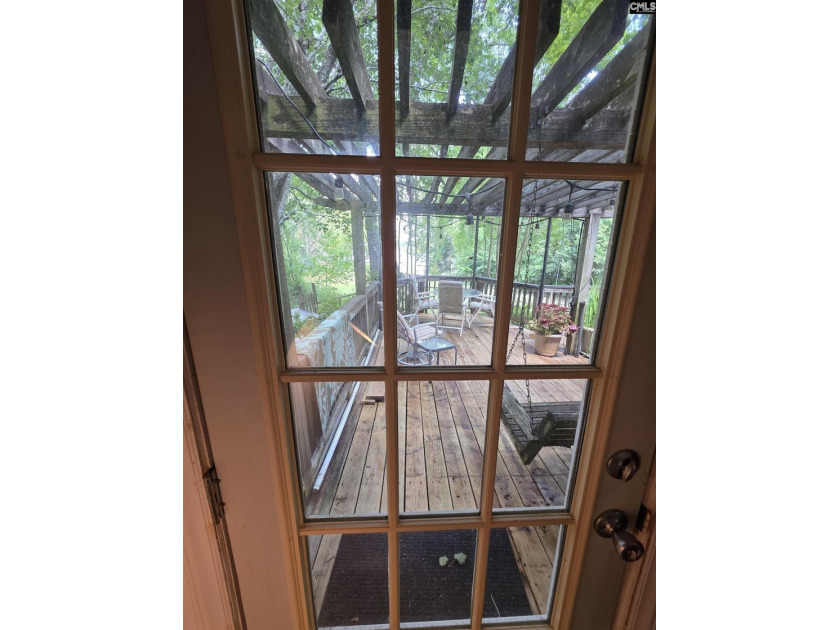 NO OPEN HOUSE ON 7/11 - Excellent Chapin lakefront home is a - photo 41