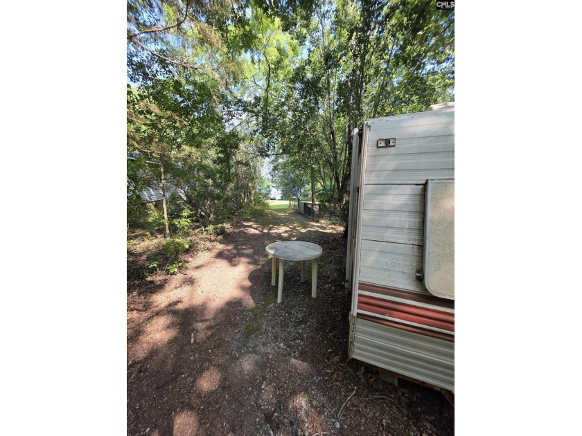 NO OPEN HOUSE ON 7/11 - Excellent Chapin lakefront home is a - photo 43