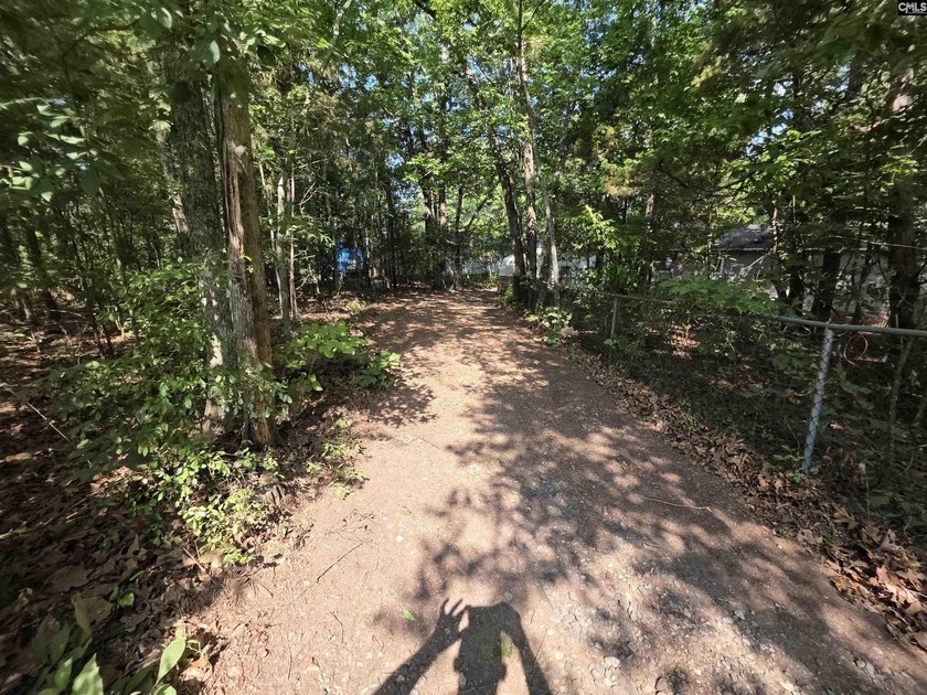 NO OPEN HOUSE ON 7/11 - Excellent Chapin lakefront home is a - photo 44