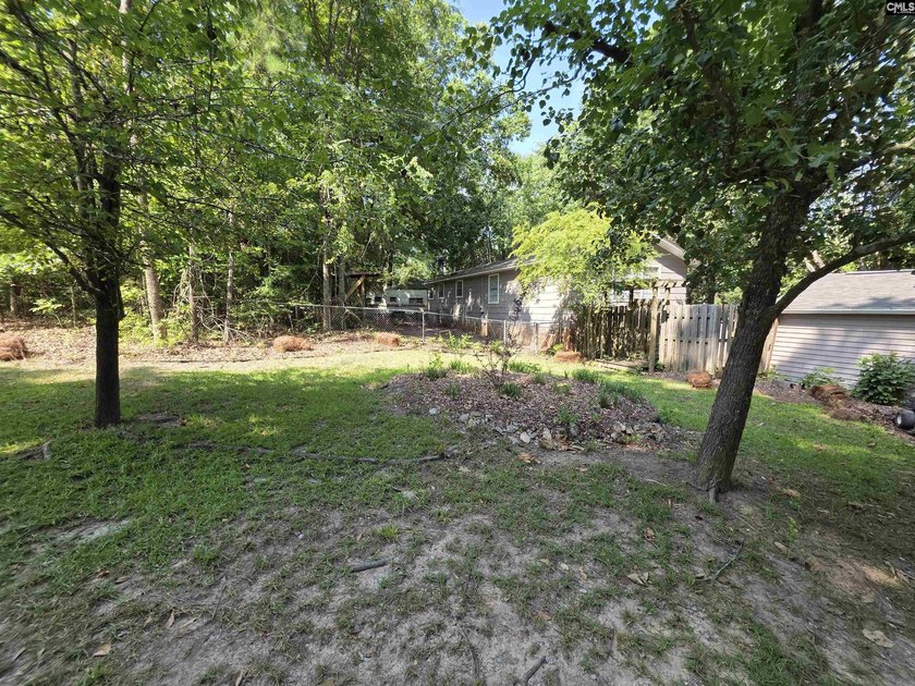 NO OPEN HOUSE ON 7/11 - Excellent Chapin lakefront home is a - photo 45