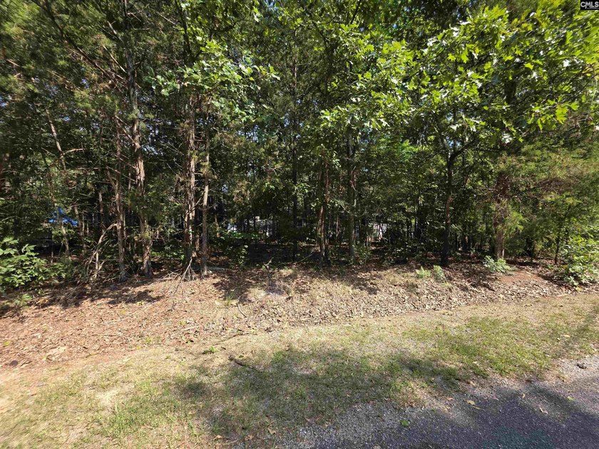 NO OPEN HOUSE ON 7/11 - Excellent Chapin lakefront home is a - photo 48