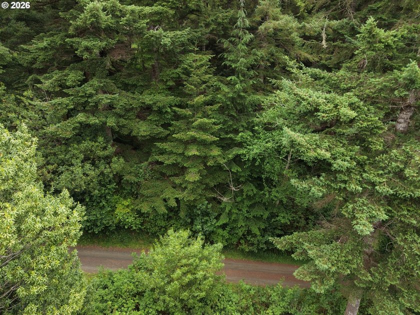 Opportunity awaits with this vacant land offering consisting of - photo 9