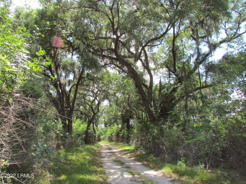 Seabrook Farm which consists of 318+- acres of open fields and - photo 3