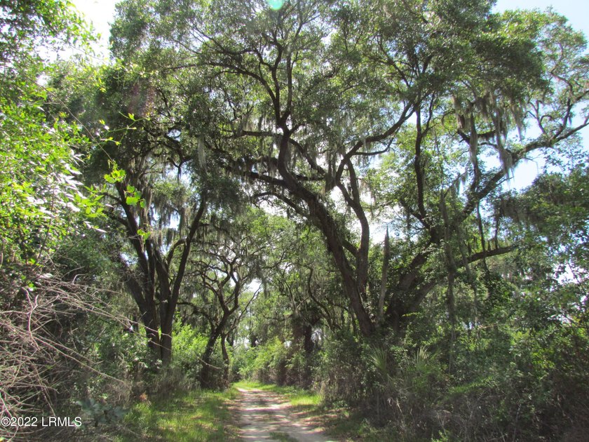 Seabrook Farm which consists of 318+- acres of open fields and - photo 4