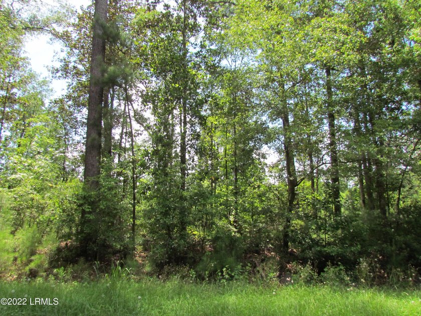 Seabrook Farm which consists of 318+- acres of open fields and - photo 6