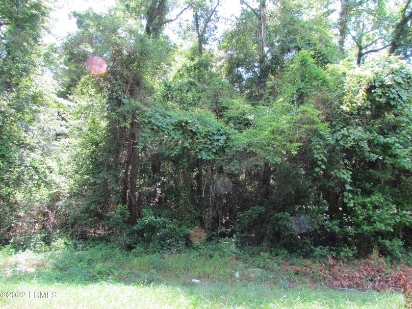 Seabrook Farm which consists of 318+- acres of open fields and - photo 7