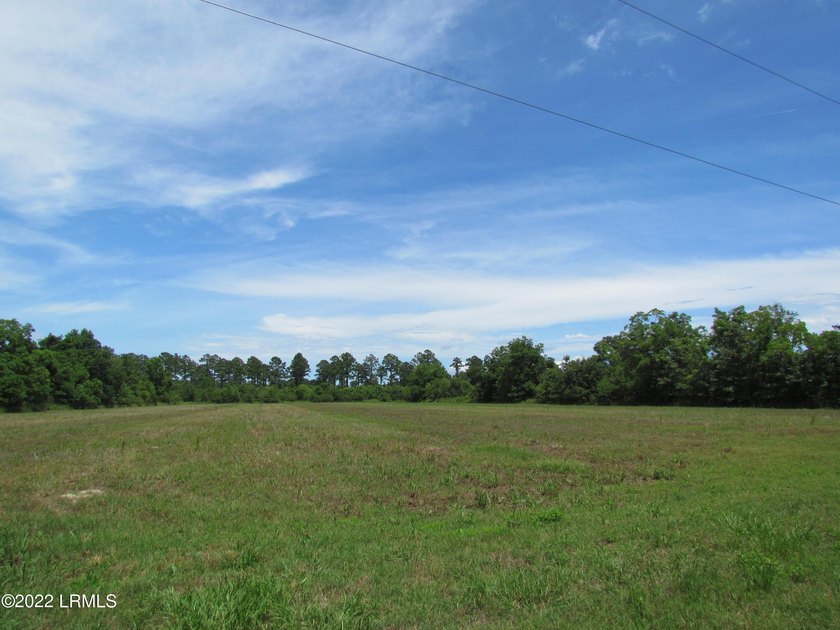 Seabrook Farm which consists of 318+- acres of open fields and - photo 9