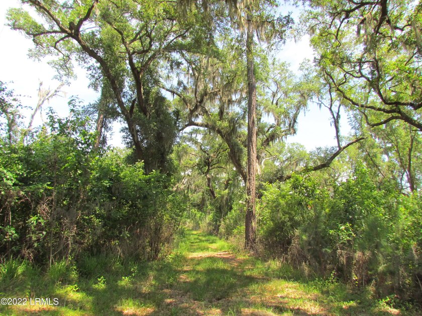 Seabrook Farm which consists of 318+- acres of open fields and - photo 10