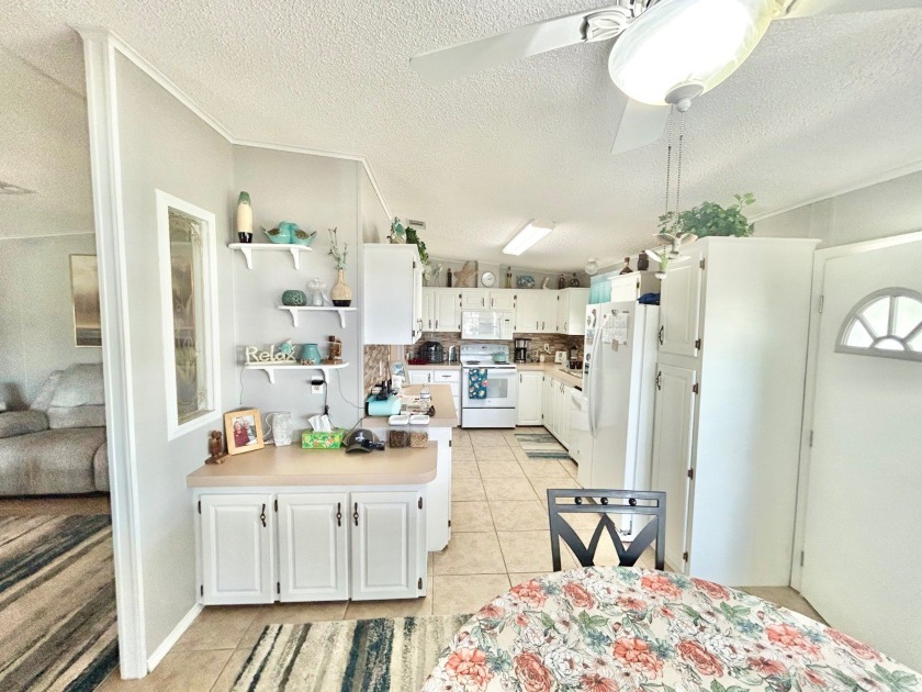 Beautiful home in Reflections on Silver Lake in Avon Park - photo 4