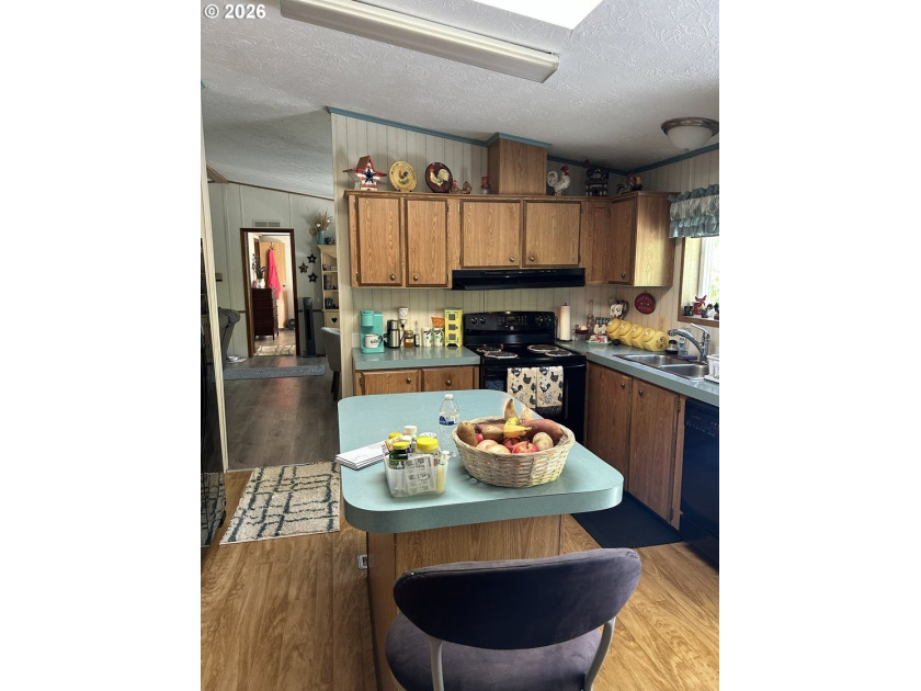 This beautiful doublewide manufactured home in a quiet family - photo 14