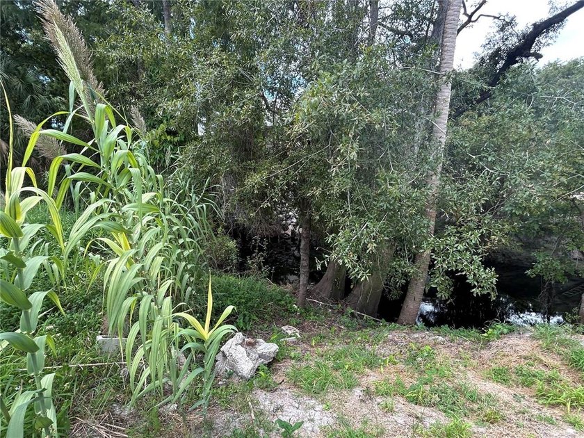 Build your dream home on this cleared vacant lot with direct - photo 3