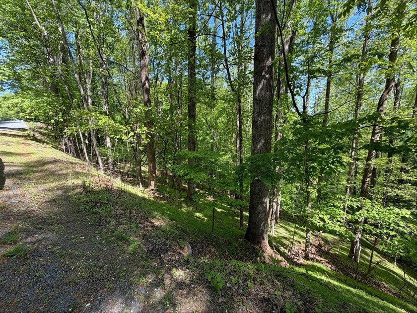 The property is ideally situated in rural southwestern Virginia - photo 2