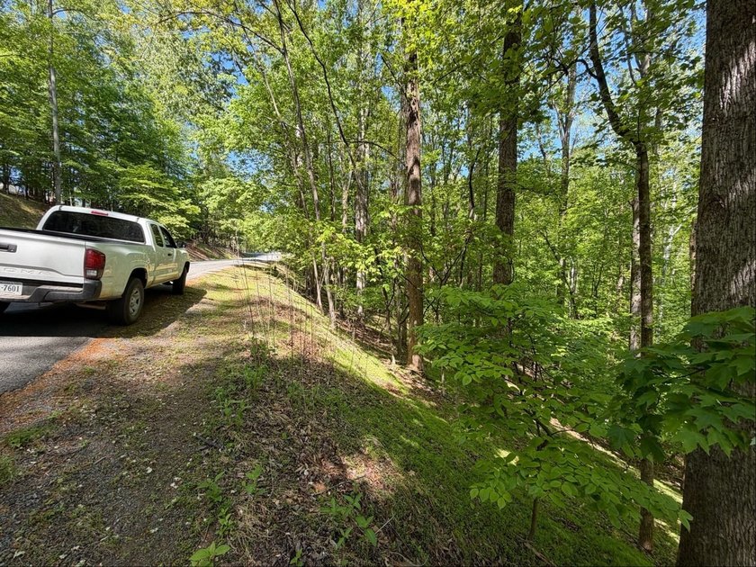 The property is ideally situated in rural southwestern Virginia - photo 6