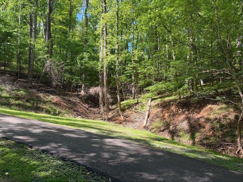 The property is ideally situated in rural southwestern Virginia - photo 7